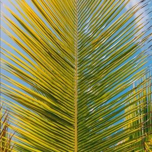 Meet your Posher, Ethan